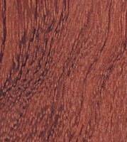 Xylotheque : Bubinga