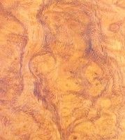 Xylotheque : Amboine