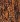 Xylotheque Princewood