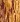 Xylotheque Snakewood