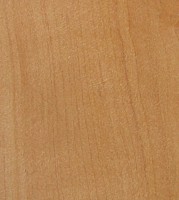 Xylotheque : Aub�pine