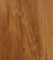 Xylotheque : Ch�ne p�doncul�