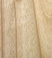 Xylotheque : Eucalyptus