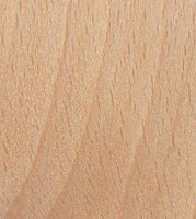 Xylotheque : H�tre
