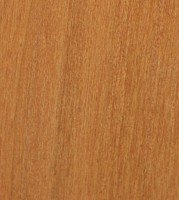 Xylotheque : Merisier