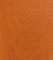 Xylotheque : Osage