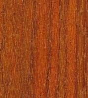 Xylotheque : Pernambouc
