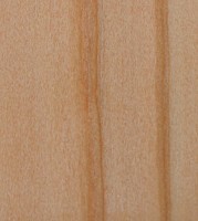 Xylotheque : Pin sylvestre