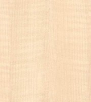 Xylotheque : Erable sycomore