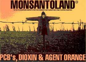  Wood Creations | Doreau's workshop  | Wood News : Film Monsantoland