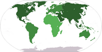 Wood's species in the world