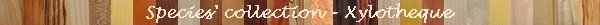 Wood Creations | Doreau's Workshop | Xylotheque | Wood species collection
