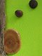 Wood Creations  Near the horizon 1 Photo 2
