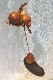 Wood Creations  A une petite diff�rence pr�s Photo 2