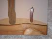 Wood Creations  Walks at the end of the world 1  Photo 3
