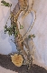 Wood Creations  Tell me grandfather Photo 2