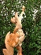 Wood Creations  Or�ades Photo 2