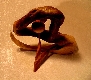 Wood Creations  Petite fenetre sur la vie Photo 2