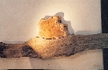 Wood Creations  Soleil couchant Photo 3