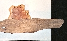 Wood Creations  Soleil couchant Photo 2