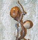 Wood Creations  Life to life Photo 3