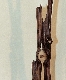 Wood Creations  Eclosion Photo 3