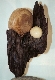 Wood Creations  Equilibre fragile Photo 2