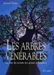 Slideshow | Venerables trees : J&eacute;r&ocirc;me Hutin