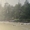 Wood Creations Sitemap: Primary Forest on Vancouver Island
