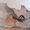 Wood Creations Sitemap: Kangaroo island in Australia