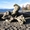 Wood Creations Sitemap: Drift wood on Vancouver Island